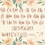 Somelove Font Poster 4
