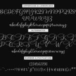 Southern Hills Font Poster 10