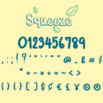 Squeeze Font Poster 4