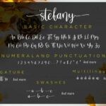 Stefany Font Poster 5