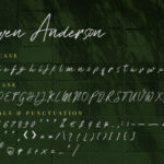 Steven Anderson Font Poster 10