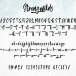 Strongwild Font Poster 2