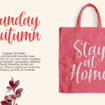 Sunday Autumn Font Poster 5