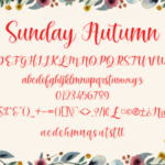 Sunday Autumn Font Poster 6