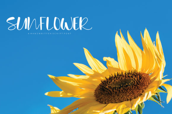 Sunflower Font Poster 1