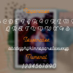 Sunnylise Font Poster 7