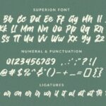 Superion Font Poster 10