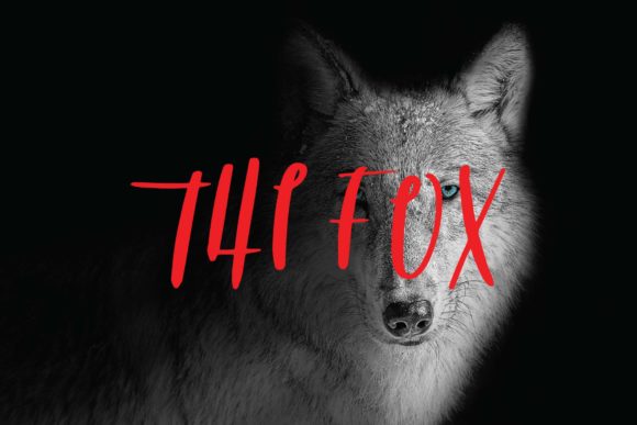 The Fox Font Poster 1