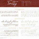 Timitty Duo Font Poster 5