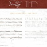 Timitty Duo Font Poster 8