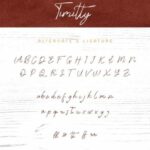 Timitty Duo Font Poster 10