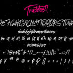 Trustdeer Font Poster 7