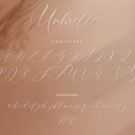 Umbrella Script Font Poster 2