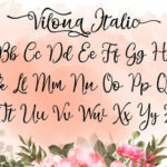 Vilona Font Poster 12