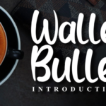 Wallet Bullet Font Poster 1