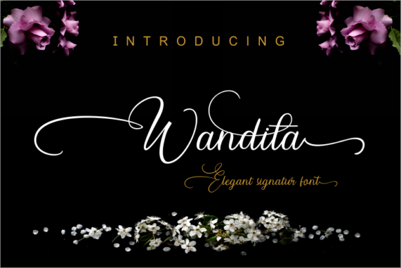 Wandita Font