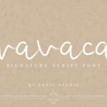 Wavaca Font Poster 2