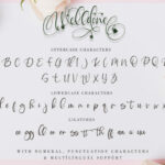 Welldone Font Poster 11