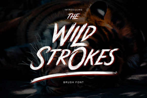 Wild Strokes Font Poster 1