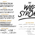 Wild Strokes Font Poster 9