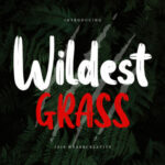 Wildest Grass Font Poster 1