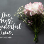 Winter Flowers Font Poster 4