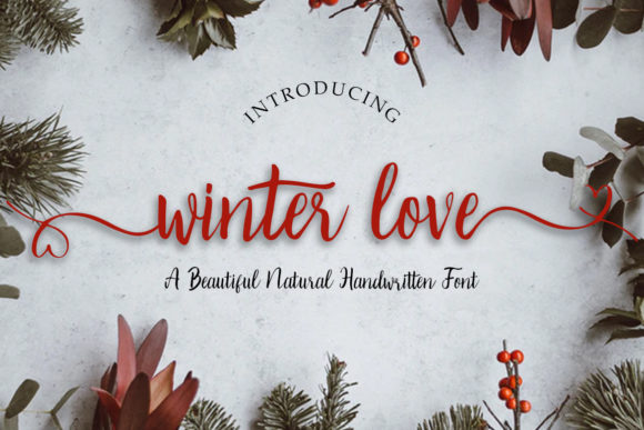 Winter Love Font Poster 1