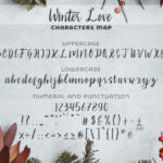 Winter Love Font Poster 8