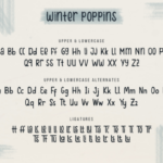 Winter Poppins Font Poster 6