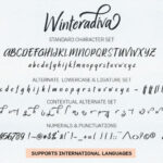 Winteradiva Font Poster 4