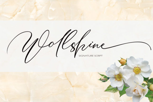 Wollshine Font