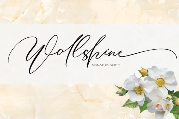 Wollshine Font Wollshine Font Poster 1