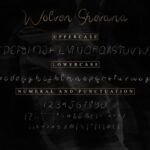 Wolven Shevana Font Poster 5