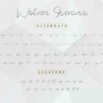 Wolven Shevana Font Poster 8