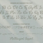 Wonderline Font Poster 13