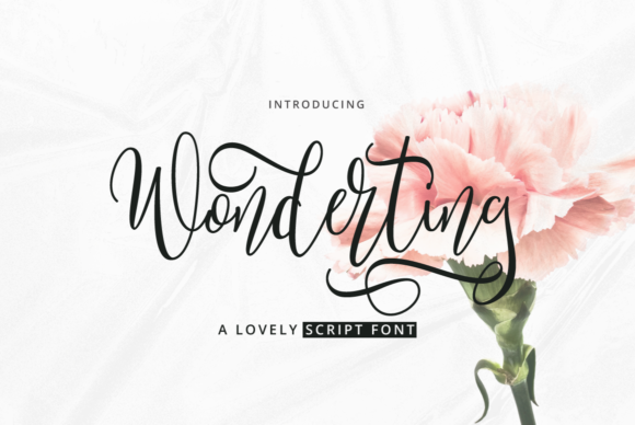 Wonderting Script Font