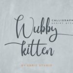 Wubby Kitten Font Poster 2