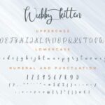 Wubby Kitten Font Poster 5