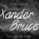 Xander Bruce Font Poster 2