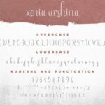 Xenia Urshina Font Poster 5