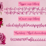 Your Valentine Font Poster 2