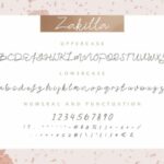Zakilla Font Poster 6