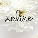 Zaline Font Poster 1