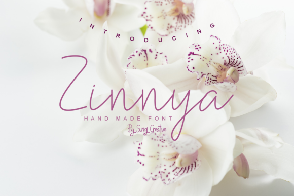 Zinnya Font Poster 1