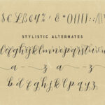 Abigaile Script Font Poster 7