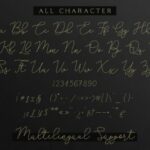 Adelya Font Poster 9