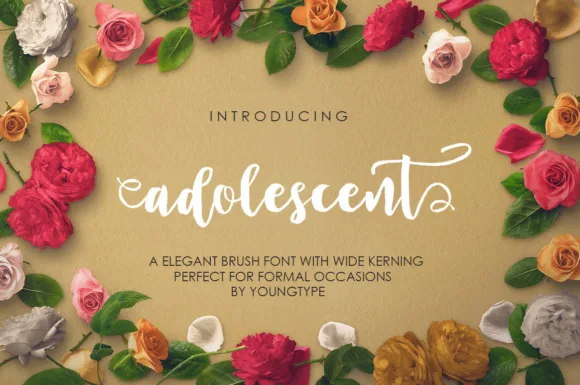 Adolescent Font Adolescent Font Poster 1