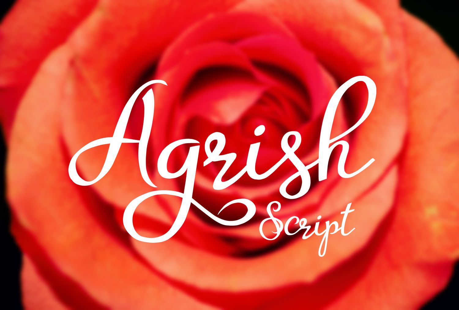 Agrish Font Poster 1