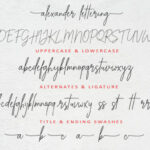 Alexander Lettering Font Poster 10