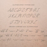 Alexandria Font Poster 17